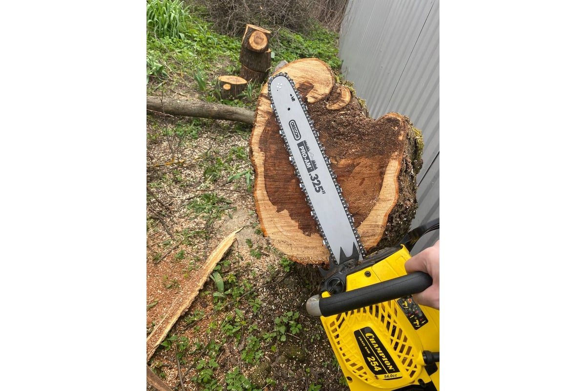 benzopila-champion-254-18-2024-04-15-11-12-15-4-save_response_service661ce15f9163c4-66573130-5964842