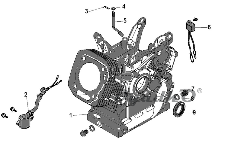 90230_844da5135b25e0ffc5f0461ad6d61f02-8179272